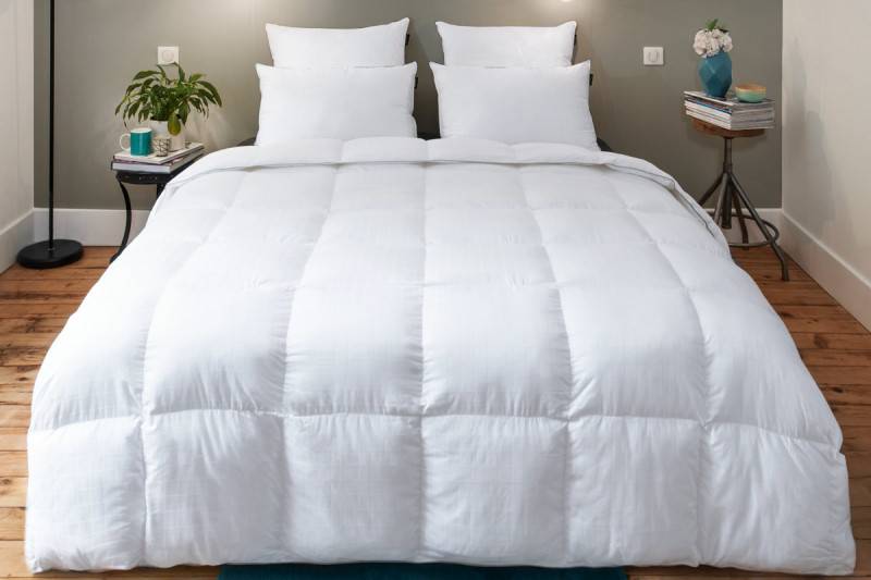 COUETTE LESTRA FJORD MICRODUV HIVER