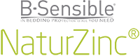 Logo Bsensible Naturzinc