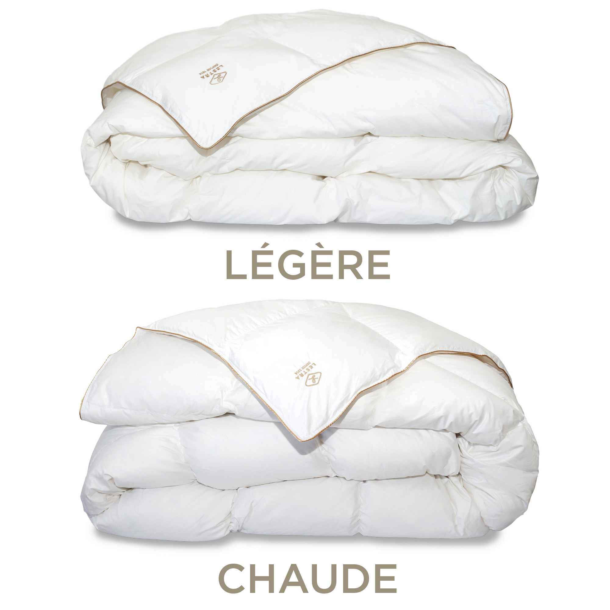 Couette ÉDITION 50 LESTRA – Percale Coton | 350g – Image 4